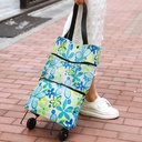 Tas Belanja Lipat Roda Serbaguna NM-108 / Trolly Shopping Bag - Motif