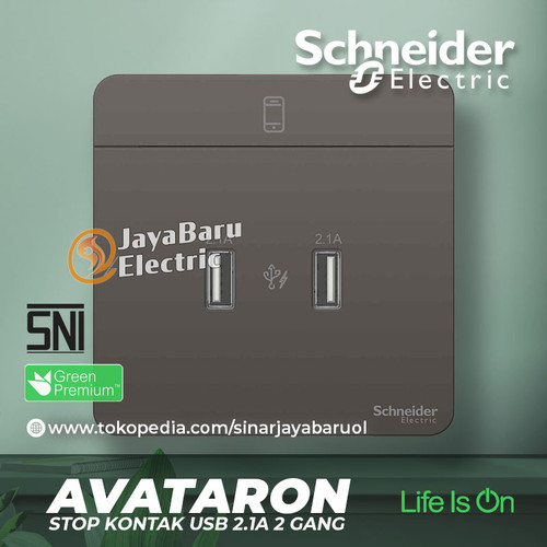Stop Kontak USB 2Gang 2 Gang SCHNEIDER Avatar On Putih Gold Grey Wood