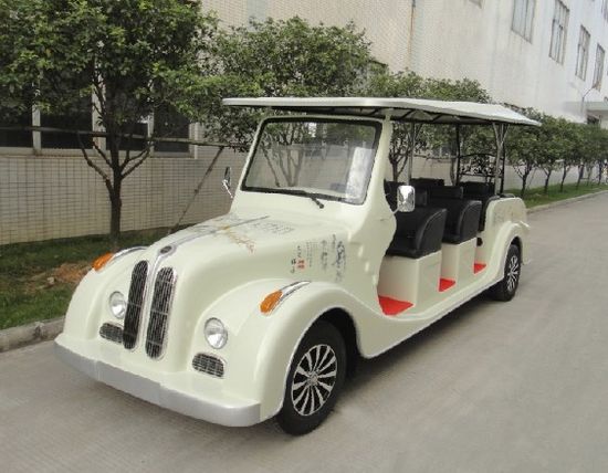 8 Seaters Electric Buggy for Sale