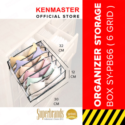 [EZM.2500419] Tempat Penyimpanan Pakaian Dalam L- 6 Grid Oragnizer Storage-OL035-03
